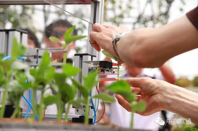 1447235804131999.jpg 12.jpg