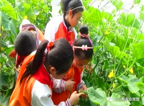 國家大力支持發展的“田園綜合體”是什么？怎么搞？(圖7)