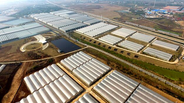 1525687570434491.jpg QQ截圖20180507180615.jpg