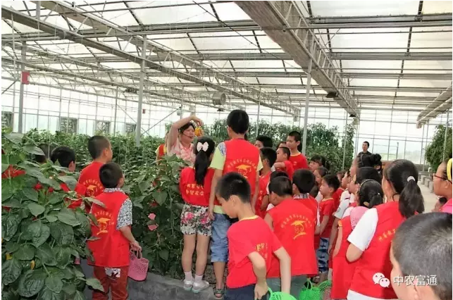 1489049231124232.png blob.png