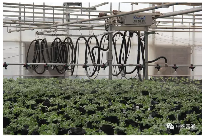 1489049166418182.png blob.png