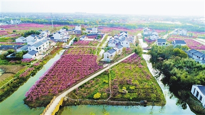 1009_170304_289.jpg 2019.10.9.3.jpg