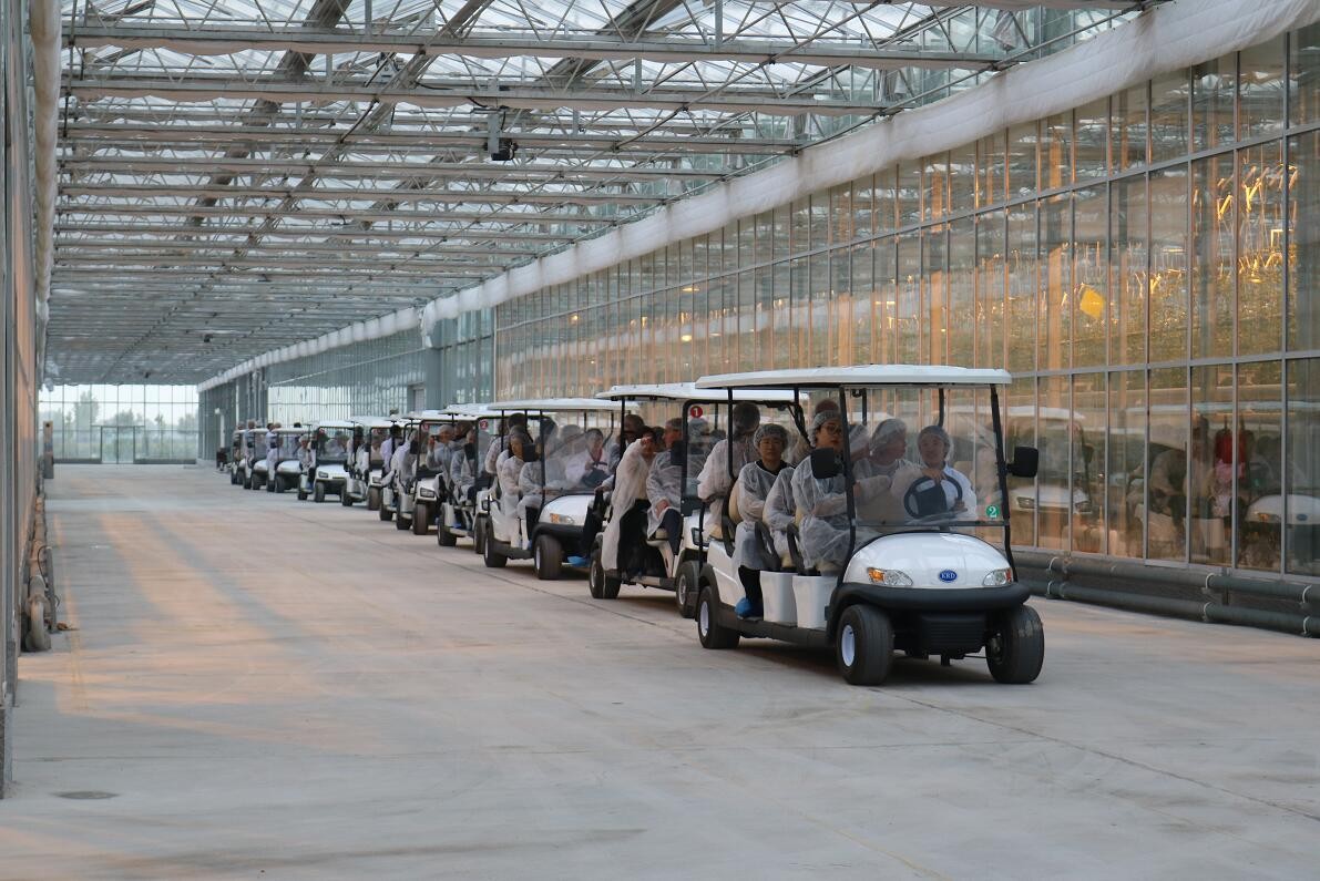 【邀請函】未來已來 中荷都市供給和綠色發(fā)展趨勢探秘(圖14) 【邀請函】未來已來 中荷都市供給和綠色發(fā)展趨勢探秘(圖14)