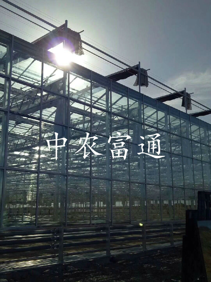 【邀請函】未來已來 中荷都市供給和綠色發(fā)展趨勢探秘(圖13) 【邀請函】未來已來 中荷都市供給和綠色發(fā)展趨勢探秘(圖13)