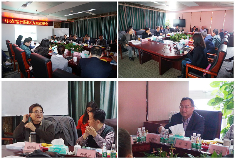 宿州終期匯報2017-03-18 (21)_副本.jpg