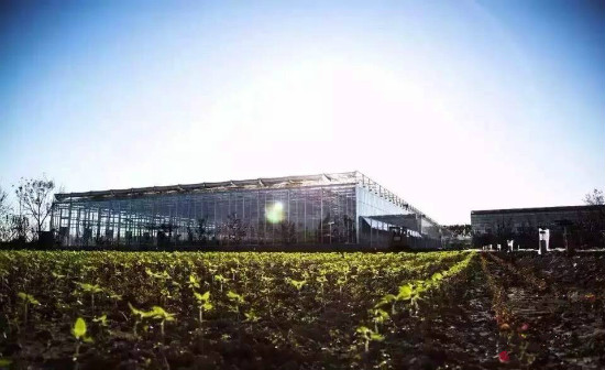 undefined 2_meitu_1.jpg