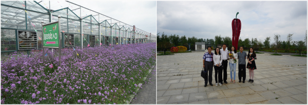 和縣初期匯報調研圖片20170606 (8)_meitu_2.jpg