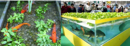 undefined yucaigongsheng.jpg