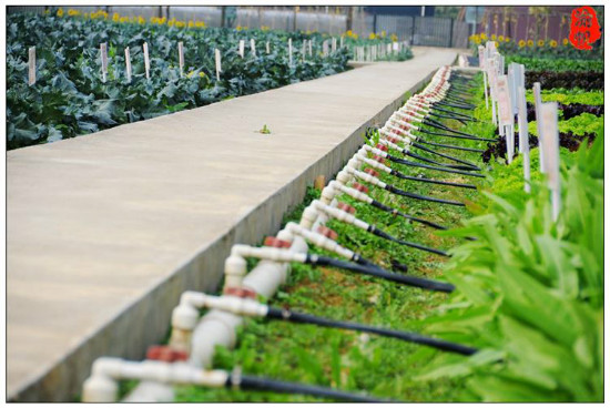 undefined zidong.jpg