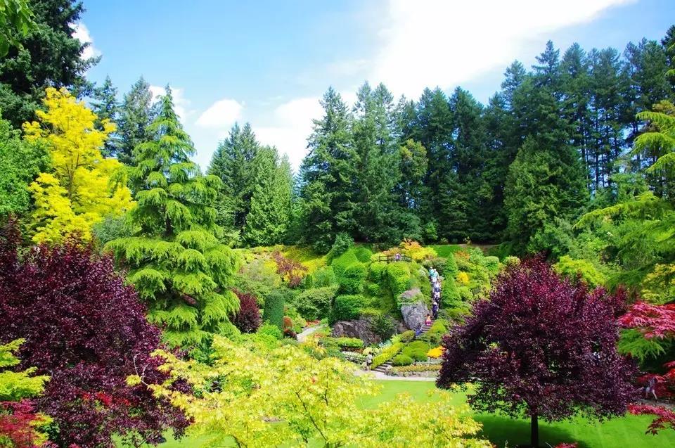 浙江田園綜合體規(guī)劃 微信圖片_1.jpg