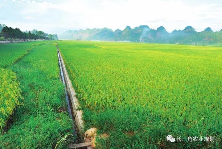 浙江鄉村旅游規劃 微信圖片1.jpg