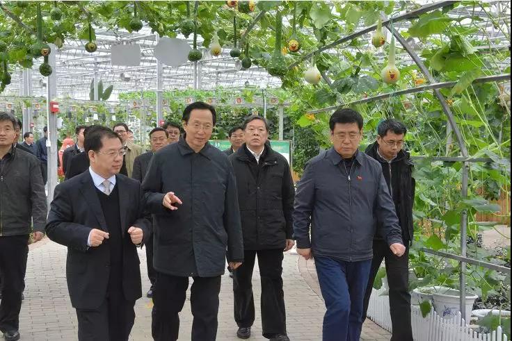 浙江生態農業規劃 微信圖片1.jpg