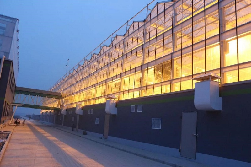 南和現代設施農業產業集群(圖3) 4.jpg