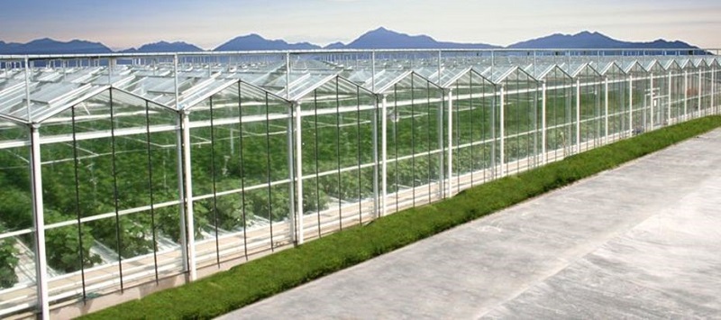 南和現代設施農業產業集群(圖2) 2.jpg