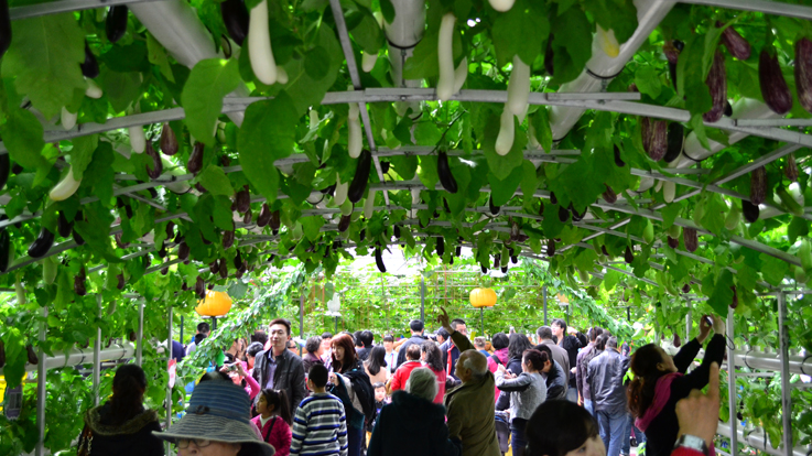 北京農業嘉年華(圖3) 4.jpg