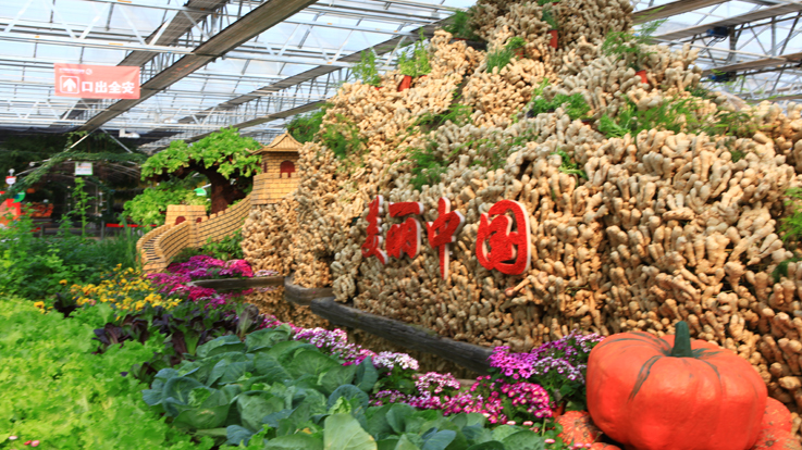 北京農業嘉年華(圖4) 6.jpg