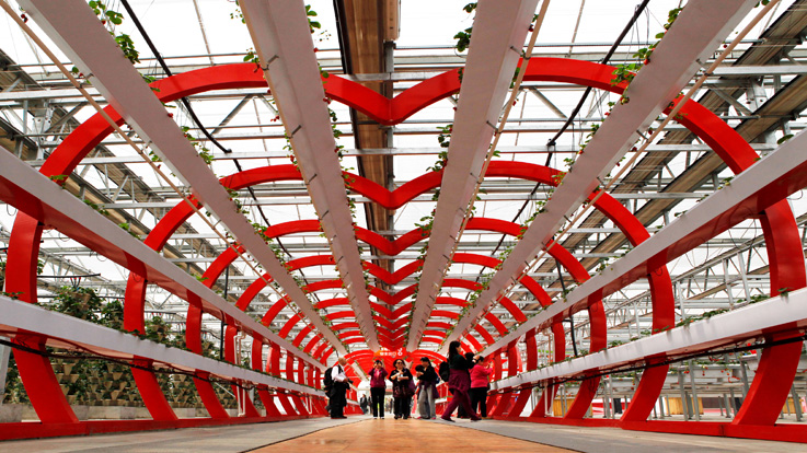 北京農業嘉年華(圖5) 0130126306.jpg