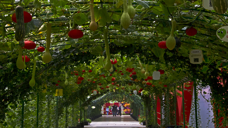 北京農業嘉年華(圖6) 0130145615.jpg