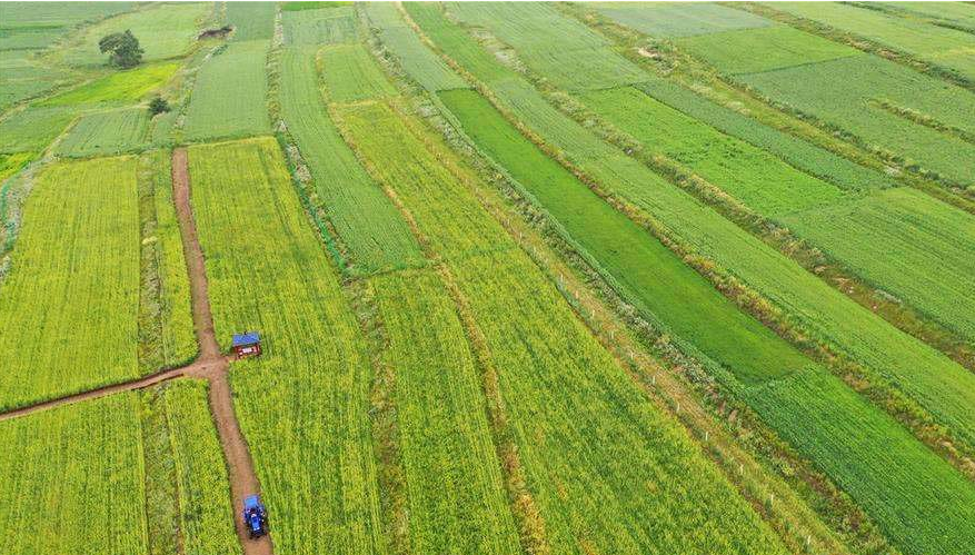 以河南甘山果香田園綜合體項目為例探索三產(chǎn)融合發(fā)展模式(圖1) 微信圖片_20200522095749.png