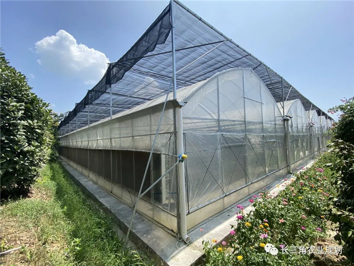 為了幫助園區(qū)的提檔升級,南京市農(nóng)業(yè)農(nóng)村局特委托中農(nóng)富通編制《南京市農(nóng)業(yè)園區(qū)發(fā)展研究報(bào)告》,以期從產(chǎn)業(yè)發(fā)展路徑、園區(qū)發(fā)展模式、保障措施等多維度為南京市農(nóng)業(yè)園區(qū)未來三年的發(fā)展做統(tǒng)籌謀劃。 8月19日,中農(nóng)(圖6) 為了幫助園區(qū)的提檔升級,南京市農(nóng)業(yè)農(nóng)村局特委托中農(nóng)富通編制《南京市農(nóng)業(yè)園區(qū)發(fā)展研究報(bào)告》,以期從產(chǎn)業(yè)發(fā)展路徑、園區(qū)發(fā)展模式、保障措施等多維度為南京市農(nóng)業(yè)園區(qū)未來三年的發(fā)展做統(tǒng)籌謀劃。 8月19日,中農(nóng)(圖6)