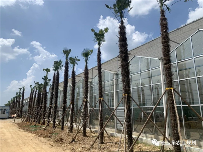 為了幫助園區(qū)的提檔升級,南京市農(nóng)業(yè)農(nóng)村局特委托中農(nóng)富通編制《南京市農(nóng)業(yè)園區(qū)發(fā)展研究報(bào)告》,以期從產(chǎn)業(yè)發(fā)展路徑、園區(qū)發(fā)展模式、保障措施等多維度為南京市農(nóng)業(yè)園區(qū)未來三年的發(fā)展做統(tǒng)籌謀劃。 8月19日,中農(nóng)(圖10) 為了幫助園區(qū)的提檔升級,南京市農(nóng)業(yè)農(nóng)村局特委托中農(nóng)富通編制《南京市農(nóng)業(yè)園區(qū)發(fā)展研究報(bào)告》,以期從產(chǎn)業(yè)發(fā)展路徑、園區(qū)發(fā)展模式、保障措施等多維度為南京市農(nóng)業(yè)園區(qū)未來三年的發(fā)展做統(tǒng)籌謀劃。 8月19日,中農(nóng)(圖10)