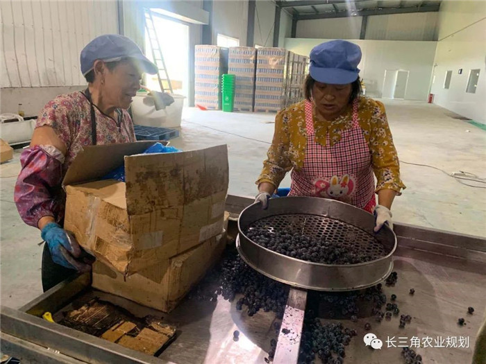 為了幫助園區(qū)的提檔升級,南京市農(nóng)業(yè)農(nóng)村局特委托中農(nóng)富通編制《南京市農(nóng)業(yè)園區(qū)發(fā)展研究報(bào)告》,以期從產(chǎn)業(yè)發(fā)展路徑、園區(qū)發(fā)展模式、保障措施等多維度為南京市農(nóng)業(yè)園區(qū)未來三年的發(fā)展做統(tǒng)籌謀劃。 8月19日,中農(nóng)(圖19) 為了幫助園區(qū)的提檔升級,南京市農(nóng)業(yè)農(nóng)村局特委托中農(nóng)富通編制《南京市農(nóng)業(yè)園區(qū)發(fā)展研究報(bào)告》,以期從產(chǎn)業(yè)發(fā)展路徑、園區(qū)發(fā)展模式、保障措施等多維度為南京市農(nóng)業(yè)園區(qū)未來三年的發(fā)展做統(tǒng)籌謀劃。 8月19日,中農(nóng)(圖19)