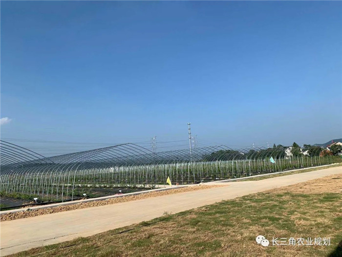 為了幫助園區(qū)的提檔升級,南京市農(nóng)業(yè)農(nóng)村局特委托中農(nóng)富通編制《南京市農(nóng)業(yè)園區(qū)發(fā)展研究報(bào)告》,以期從產(chǎn)業(yè)發(fā)展路徑、園區(qū)發(fā)展模式、保障措施等多維度為南京市農(nóng)業(yè)園區(qū)未來三年的發(fā)展做統(tǒng)籌謀劃。 8月19日,中農(nóng)(圖21) 為了幫助園區(qū)的提檔升級,南京市農(nóng)業(yè)農(nóng)村局特委托中農(nóng)富通編制《南京市農(nóng)業(yè)園區(qū)發(fā)展研究報(bào)告》,以期從產(chǎn)業(yè)發(fā)展路徑、園區(qū)發(fā)展模式、保障措施等多維度為南京市農(nóng)業(yè)園區(qū)未來三年的發(fā)展做統(tǒng)籌謀劃。 8月19日,中農(nóng)(圖21)