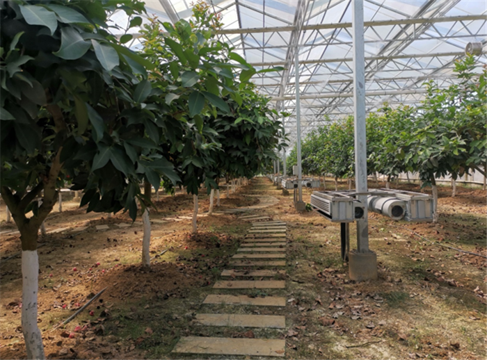 9月3日,中農富通調研組兵分兩路對南京高淳區武家嘴現代農業產業示范園區和棲霞區龍潭現代農業產業示范園區的調研工作。(圖5) 9月3日,中農富通調研組兵分兩路對南京高淳區武家嘴現代農業產業示范園區和棲霞區龍潭現代農業產業示范園區的調研工作。(圖5)