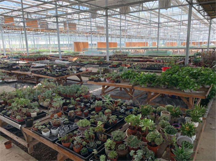 9月3日,中農富通調研組兵分兩路對南京高淳區武家嘴現代農業產業示范園區和棲霞區龍潭現代農業產業示范園區的調研工作。(圖23) 微信圖片_20200908160220.png