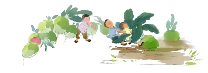 《蔬之集萃》(圖3) 《蔬之集萃》(圖3)