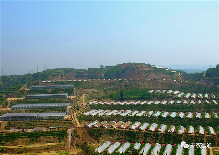 重磅！歷史性的一刻！我國832個國家級貧困縣全部脫貧摘帽(圖4)